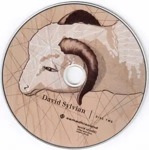 David Sylvian - Died In The Wool. Manafon Variations (2011) {2CD SamadhiSound ss021}
