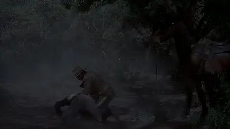 Rio Lobo (1970)