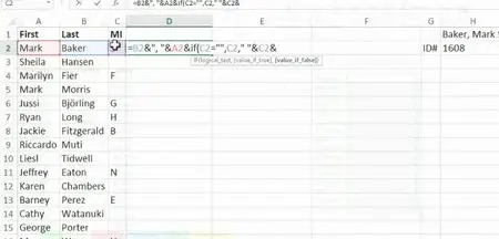 Excel 2013: Advanced Formulas and Functions 
