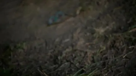 The Blacklist S04E03