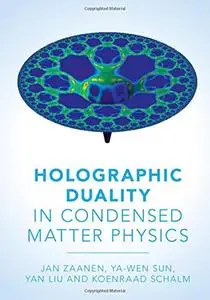 Holographic Duality in Condensed Matter Physics