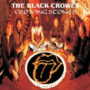 The Black Crowes - Crowing Stones (1990-2010)