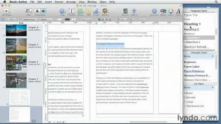 iBooks Author Essential Training