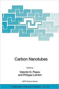 Carbon Nanotubes: From Basic Research to Nanotechnology