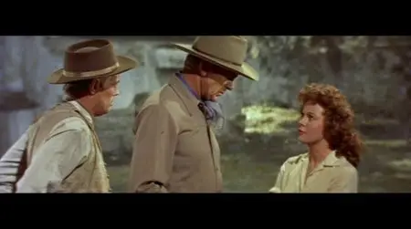 Garden of Evil/Les 3 aventuriers de Puerto Miguel - Le jardin du diable (1954)