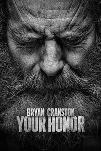 Your Honor S02E06