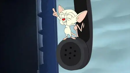 Animaniacs S03E06