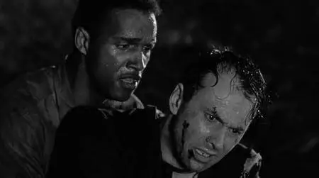 The Phenix City Story (1955)