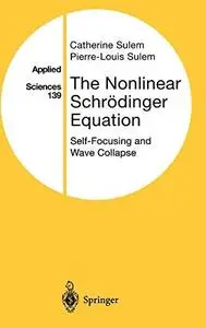The Nonlinear Schrödinger Equation: Self-Focusing and Wave Collapse: Self-Focusing and Wave Collapse