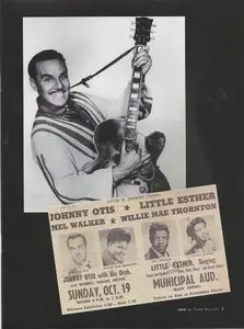 V.A. - Blues Masters Vol 13 (3CD, 2012)