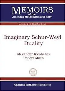 Imaginary Schur-Weyl Duality