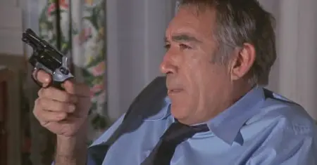 The Marseille Contract (1974)