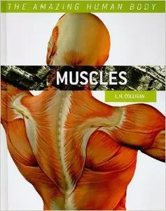 Muscles (Amazing Human Body)