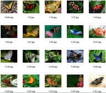 Sunsets Wallpapers (Repost with mirrors)