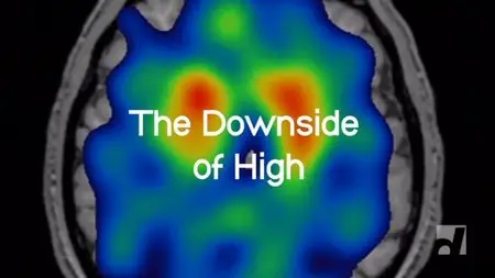 CBC The Nature of Things - The Downside of High (2010)