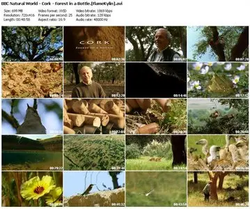 BBC Natural World: Cork - Forest in a Bottle (2009)