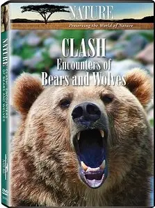 PBS Nature - Clash: Encounters of Bears and Wolves (2010)