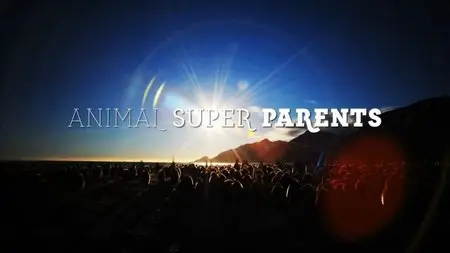 BBC - Animal Super Parents: Series 1 (2015)