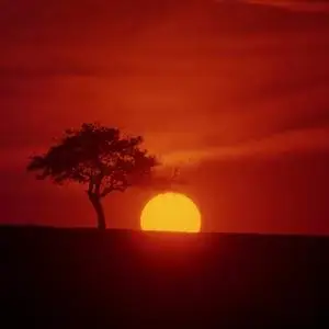 Imagestate SS18 Unique Images of Nature