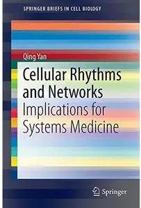 Cellular Rhythms and Networks: Implications for Systems Medicine [Repost]