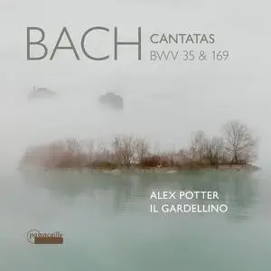 Leo van Doeselaar, Alex Potter & il Gardellino - Bach: Cantatas, BWV 35 & 169 (2023) [Official Digital Download 24/96]