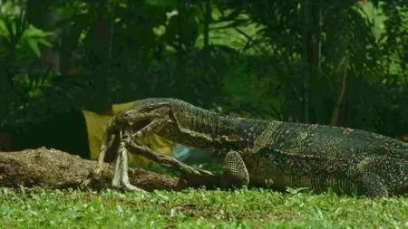 BBC - Thailand - Earth's Tropical Paradise E02: The Central Heartland (2017)