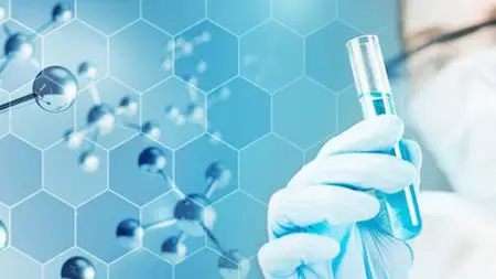 Organic Chemistry - Hydrocarbons
