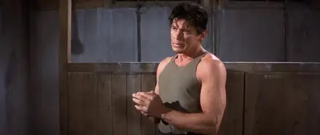 The Great Escape / Большой побег (1963)