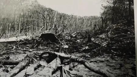 BBC Storyville - Murder in the Bush: Cold Case Hammarskjöld (2019)