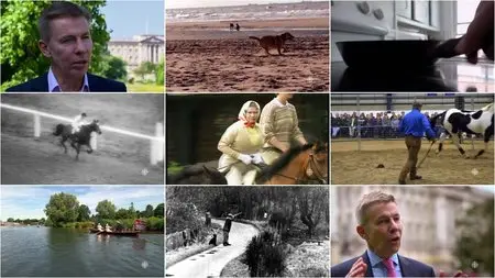 CBC - Doc Zone: Royals & Animals: Till Death Do Us Part (2014)