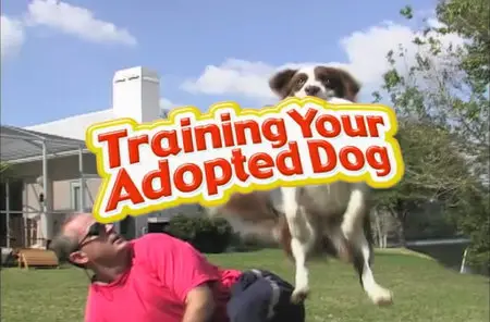 Training Your Adopted Dog [repost]