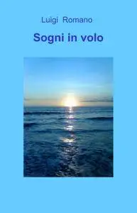 Sogni in volo