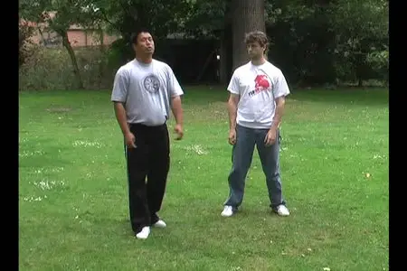 Yin Style Bagua Kicking and Footwork [repost]