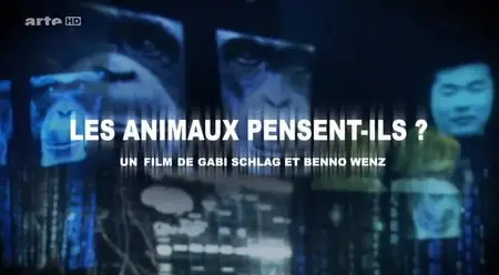 (Arte) Les animaux pensent-ils ? (2013)