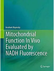 Mitochondrial Function In Vivo Evaluated by NADH Fluorescence