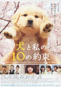 10 Promises to My Dog (2008)