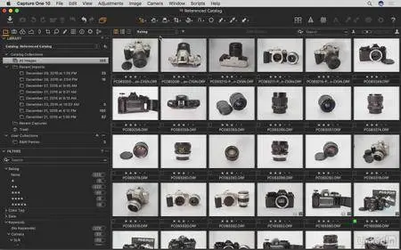 Lynda - Advanced Capture One Pro: Library Management (2017) [repost]