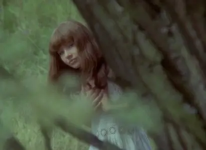 Valerie a týden divu / Valerie and Her Week of Wonders (1970) [The Criterion Collection]