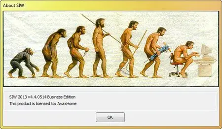 SIW 2013 v4.4.0514 Business Edition
