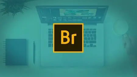 Essential Skills For Designers - Adobe Bridge