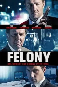 Felony (2013)