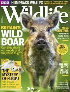 BBC Wildlife Magazine – November 2015