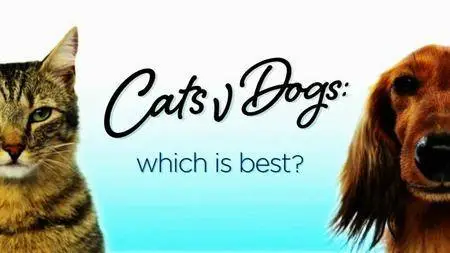 BBC - Cats v Dogs: Which is Best? (2016)