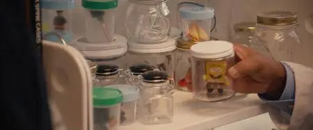 Master of None S02E07