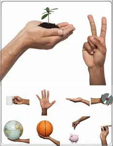 Hands