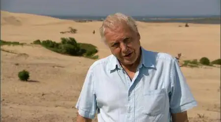 Attenborough and the Giant Egg (2011)