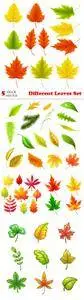 Vectors - Different Leaves Set