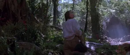 Medicine Man (1992)