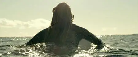 The Shallows (2016)