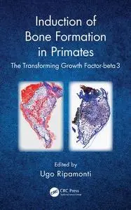 Induction of Bone Formation in Primates: The Transforming Growth Factor-beta 3 (Repost)